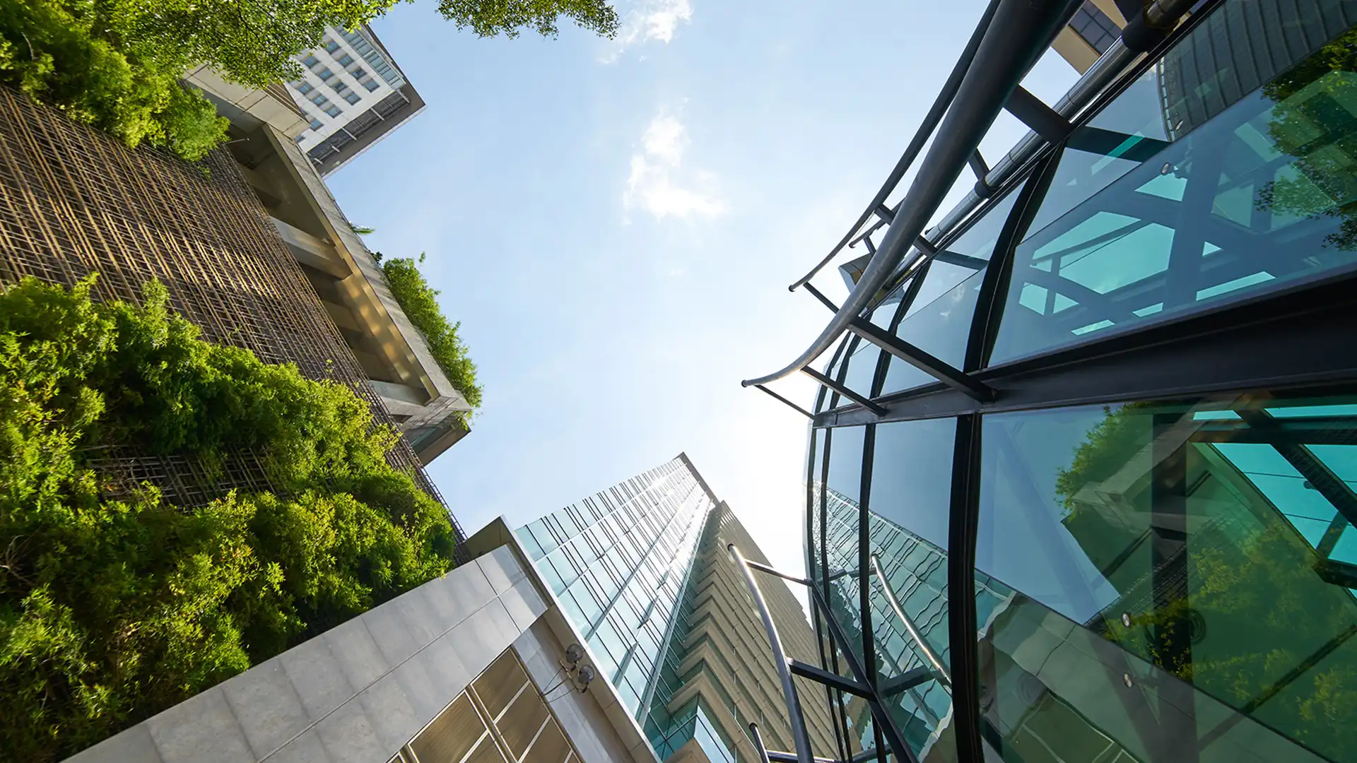 mdhamini Home Banner2